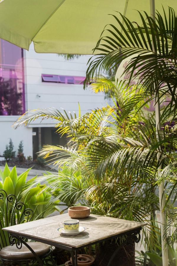 Hostel Spring City เมเดยิน ภายนอก รูปภาพ